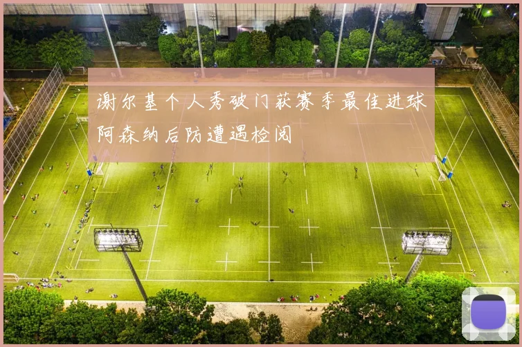 谢尔基个人秀破门获赛季最佳进球阿森纳后防遭遇检阅