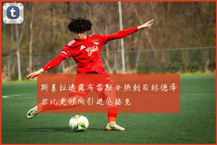 斯基拉透露布雷默非热刺目标德泽尔比更倾向引进范赫克